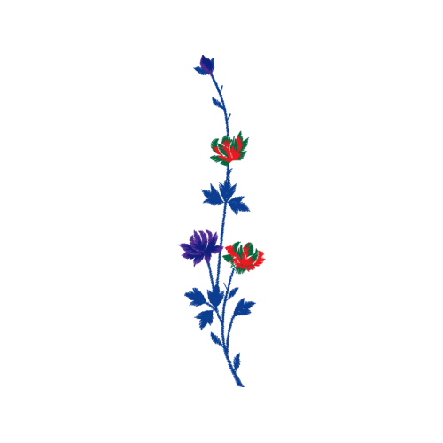 Illustration Animals Illustration Animals