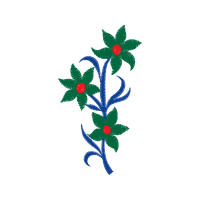 Illustration Animals