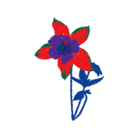 Illustration Animals