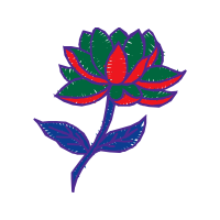 Illustration Animals