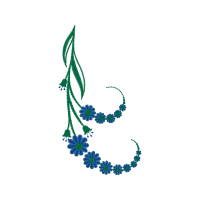 Illustration Animals Illustration Animals