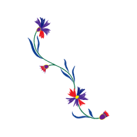 Illustration Animals