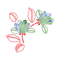 Illustration Animals