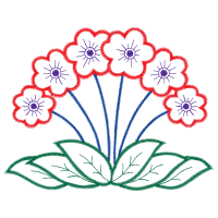 Illustration Animals