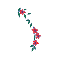 Illustration Animals