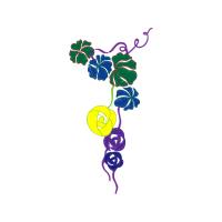 Illustration Animals