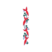 Illustration Animals