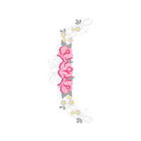 Illustration Animals Illustration Animals