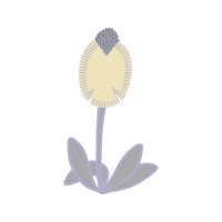 Illustration Animals Illustration Animals