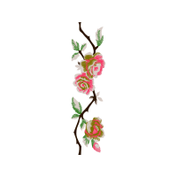 Illustration Animals