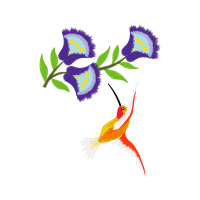 Illustration Animals