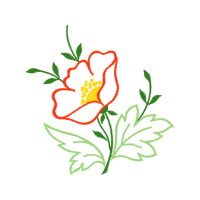 Illustration Animals