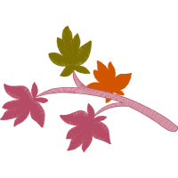 Illustration Animals