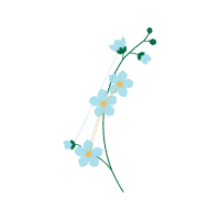 Illustration Animals