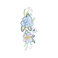 Illustration Animals