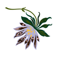 Illustration Animals