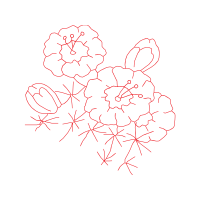 Illustration Animals