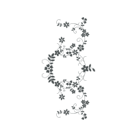 Illustration Animals