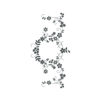 Illustration Animals