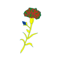 Illustration Animals