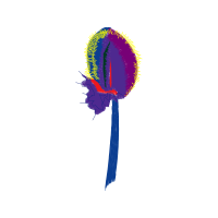 Illustration Animals