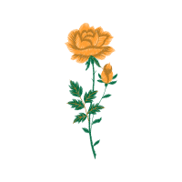 Illustration Animals Illustration Animals