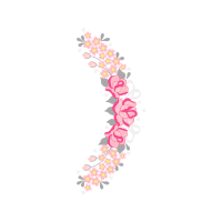 Illustration Animals Illustration Animals