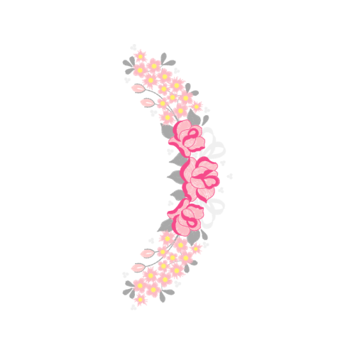 Illustration Animals Illustration Animals