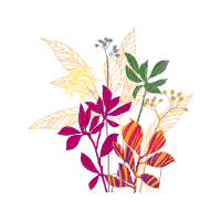 Illustration Animals Illustration Animals