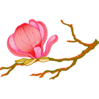 Illustration Animals