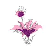 Illustration Animals Illustration Animals