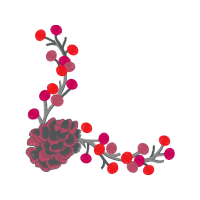 Illustration Animals