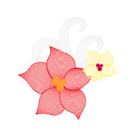 Illustration Animals