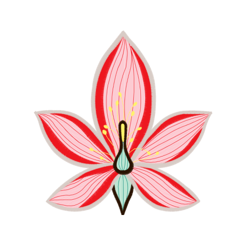 Illustration Animals Illustration Animals