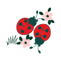 Illustration Animals