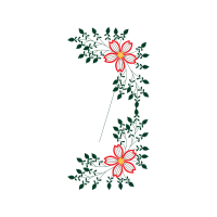 Illustration Animals