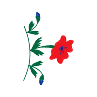 Illustration Animals