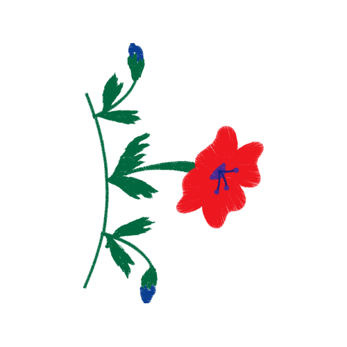 Illustration Animals Illustration Animals