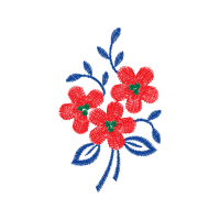 Illustration Animals