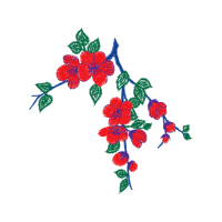 Illustration Animals