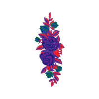 Illustration Animals