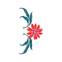 Illustration Animals