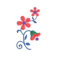 Illustration Animals