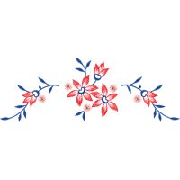 Illustration Animals