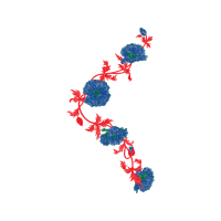 Illustration Animals