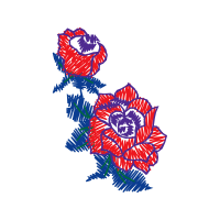 Illustration Animals