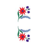 Illustration Animals