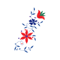 Illustration Animals