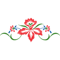 Illustration Animals