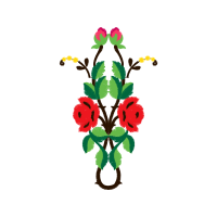 Illustration Animals